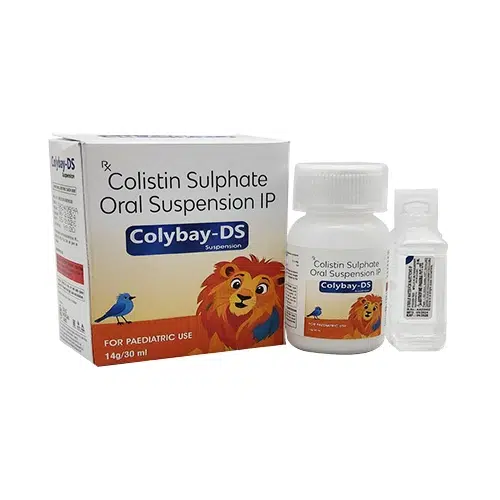 Colybay-DS