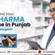 PCD Pharma Franchise in Punjab